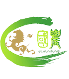 变性淀粉