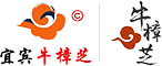 宜宾市牛樟芝生物科技有限公司