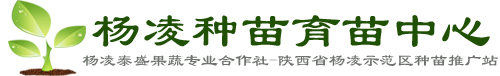 杨凌种苗育苗中心