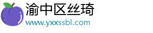 渝中区丝琦网络科技工作室（个体工商户）