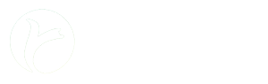 新盛娱乐微信