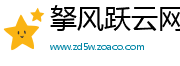 拏风跃云网
