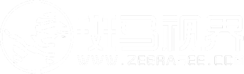 斑马视界