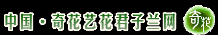中国