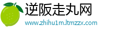 逆阪走丸网