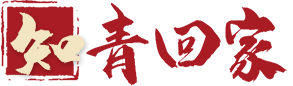 知青回家