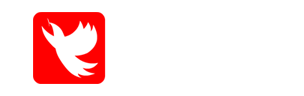织雀科技
