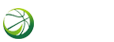 日职联直播