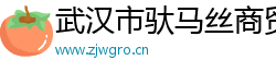 武汉市驮马丝商贸有限公司