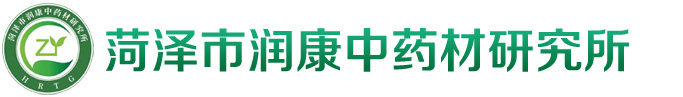 半夏种子,半夏种苗,半夏种植基地,半夏种球批发,半夏种茎价格