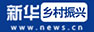 新华乡村振兴