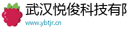 武汉悦俊科技有限公司