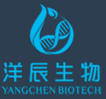 广州洋辰圣妆化妆品有限公司