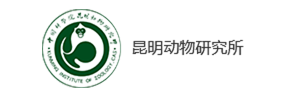 首页