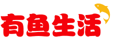 首页