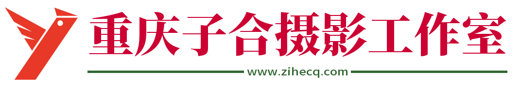 重庆婚纱摄影,重庆摄影工作室,重庆婚纱照,重庆艺术照,重庆情侣照,重庆孕妇照,重庆私房写真,重庆拍婚纱照,子合摄影