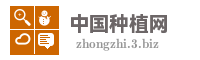 镇雄县达园九洲种植农民专业合作社