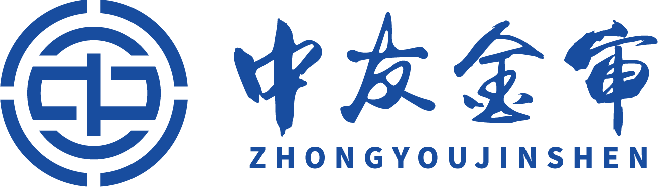 北京中友金审科技有限公司